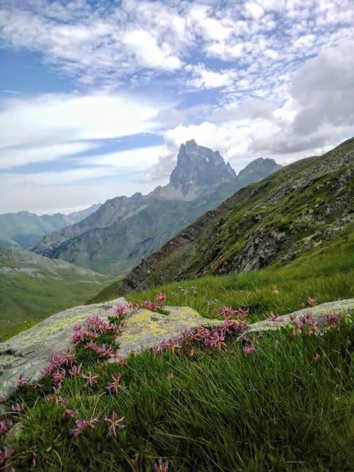 Atico La Flor Del Sol Appartement Canfranc Buitenkant foto